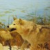 Defending from the Wolves